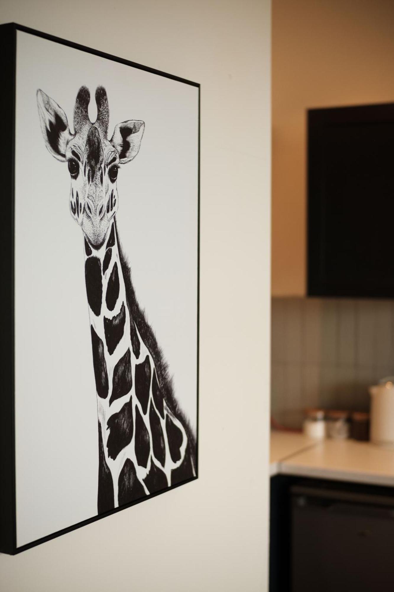 Antrim Road Apartments 벨파스트 외부 사진